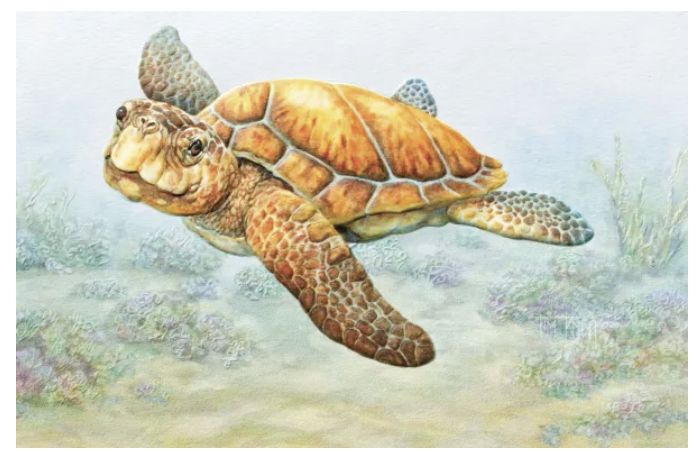 PPress Deep Sea Diver