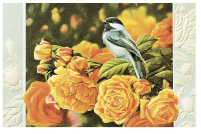 PPress English Roses