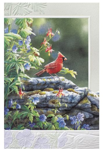 PPress Woodland Secret