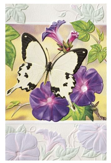 PPress Mocker Swallowtail