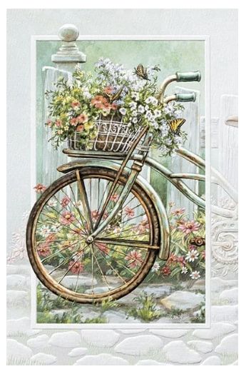 PPress Retro Bike &amp; Basket