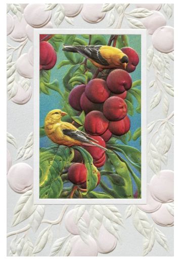 PPress Goldfinch and Plums