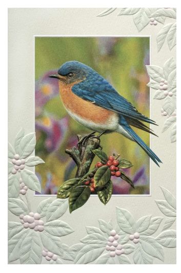 PPress Berry Blue Birthday