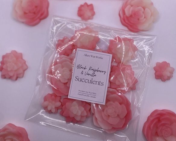 Allure Wax Melts - Black Raspberry &amp; Vanilla Succulents