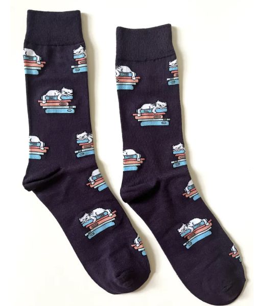 Mojja Socks - Cat on Books