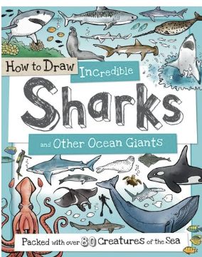 How to Draw Incredible Sharks