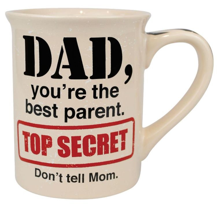 ONIM Top Secret Dad
