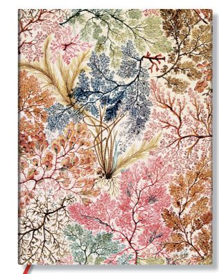 Lined Ultra Flexi Anemone