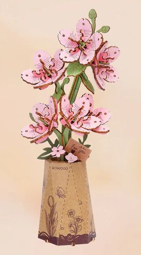 Rowood Sakura