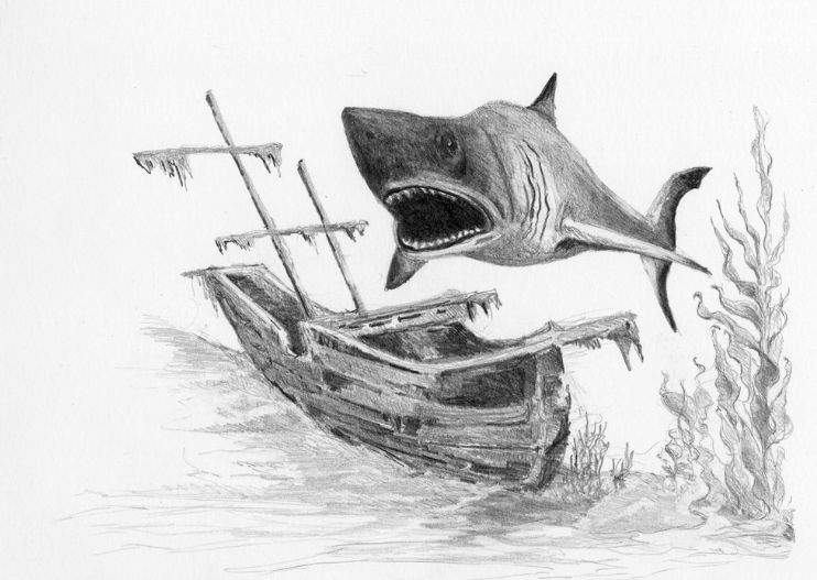 Mini Sketching - Shark