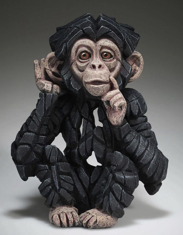 Edges Baby Chimp