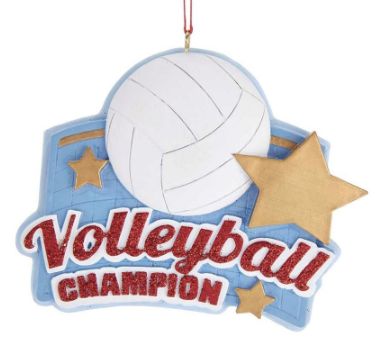 A1911 Volleyball Champion