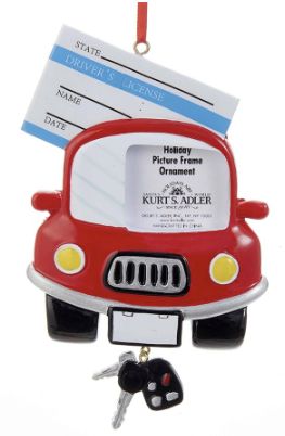 W8203 Drivers License