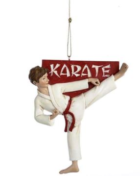 C8253B Male Karate