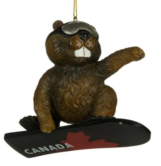 D019 Snowboard Beaver