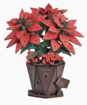 Rowood Poinsettia