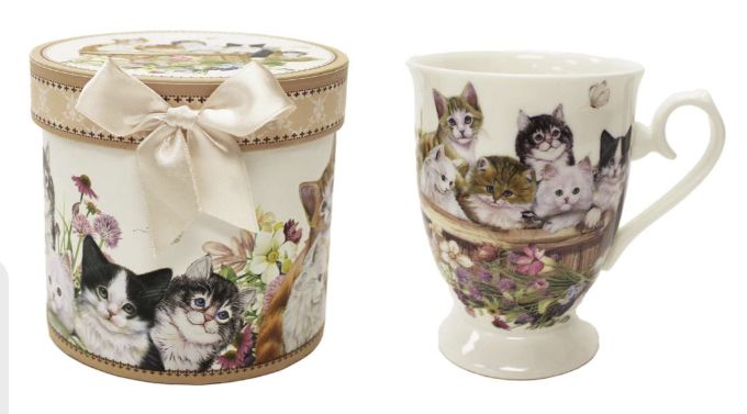 Boxed Mug Cat