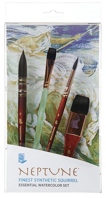 Princeton Neptune Professional Box Set