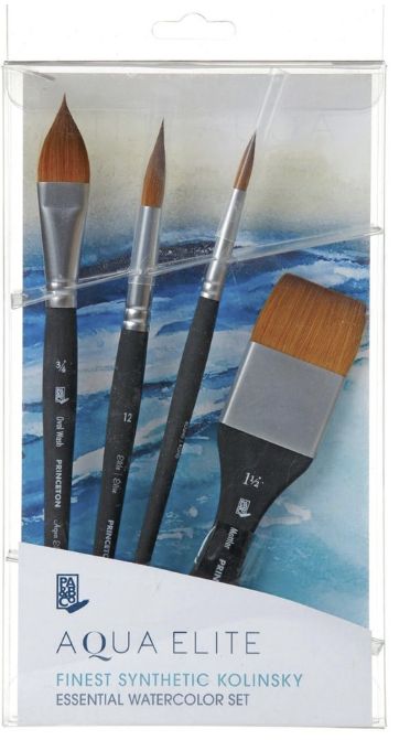 Princeton Aqua Elite Professional Box Set