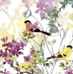 Paper Napkin - Birds in Spring