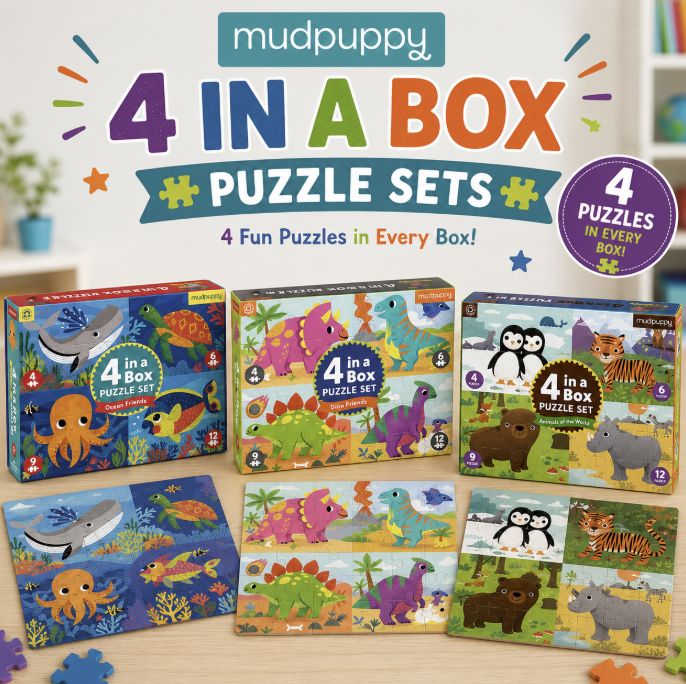 Mudpuppy 4 in a Box Puzzle
