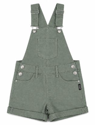 Olive Shortall
