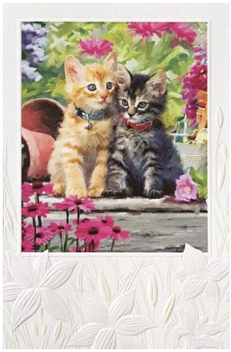 PPress The Kittens Garden