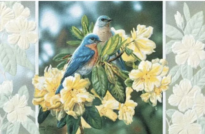 PPress Bluebirds in Rhododendron