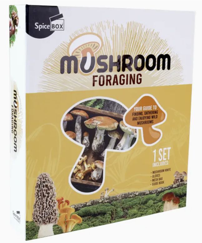 SpiceBox Kit - Mushroom Foraging