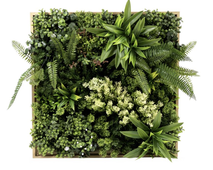 SP CGS14 Green Wall Art