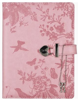 Peter Pauper Locking Journal Hummingbird