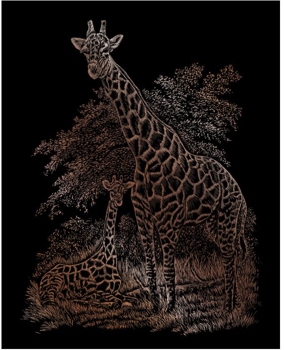 Engraving Art Giraffe and Baby