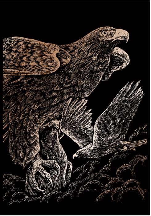Engraving Art Hawks