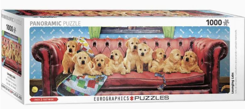Panoramic Puzzle 1000pc - Lounging Labs