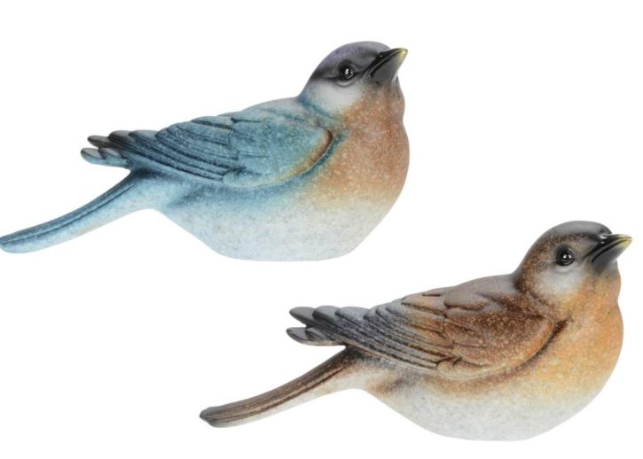 6" Colorful Songbird