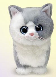 Ty Furley Cat
