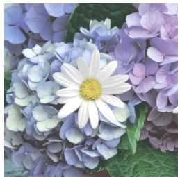 Paper Napkin - Floral Cascade