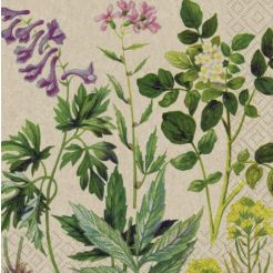Paper Napkin - Botanical Pattern