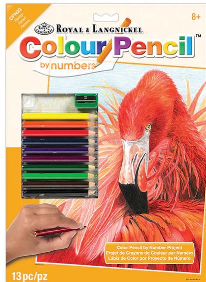 Color Pencil by Number - Flamingo