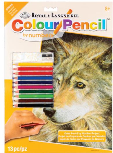 Color Pencil by Number - Curious Eyes