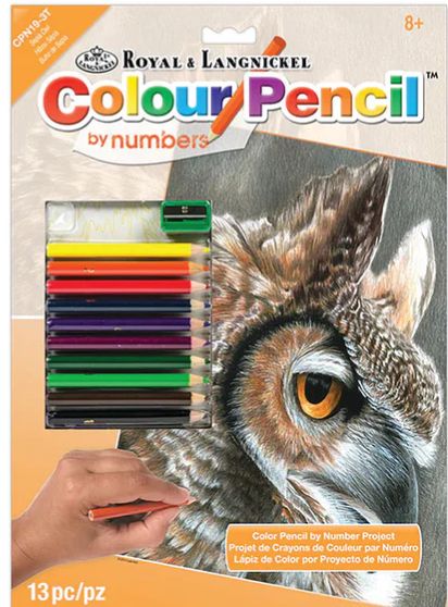 Color Pencil by Number - Sepia Owl