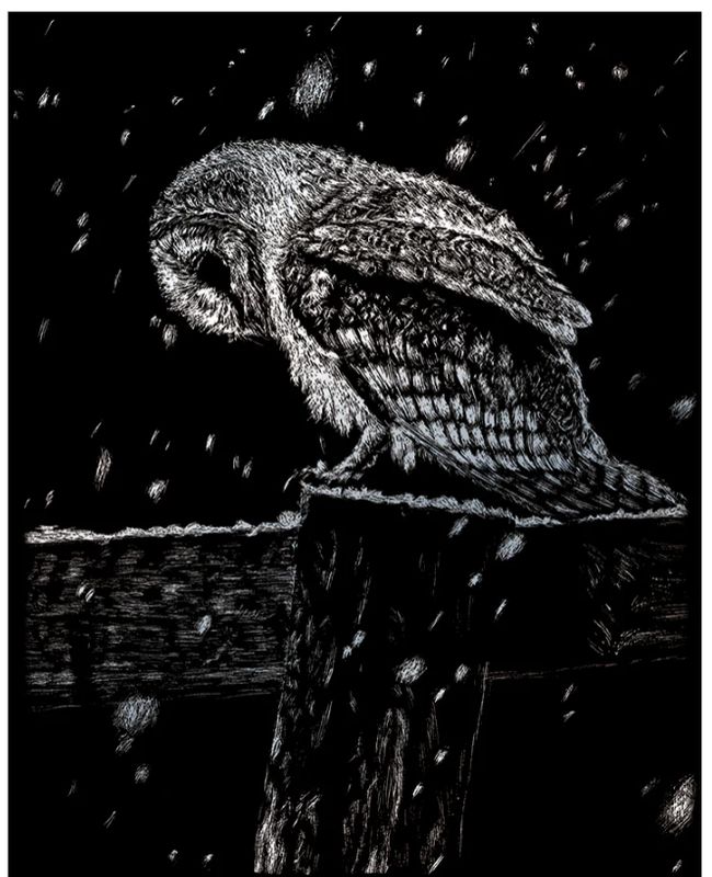 Engraving Art - Snowfall at Night