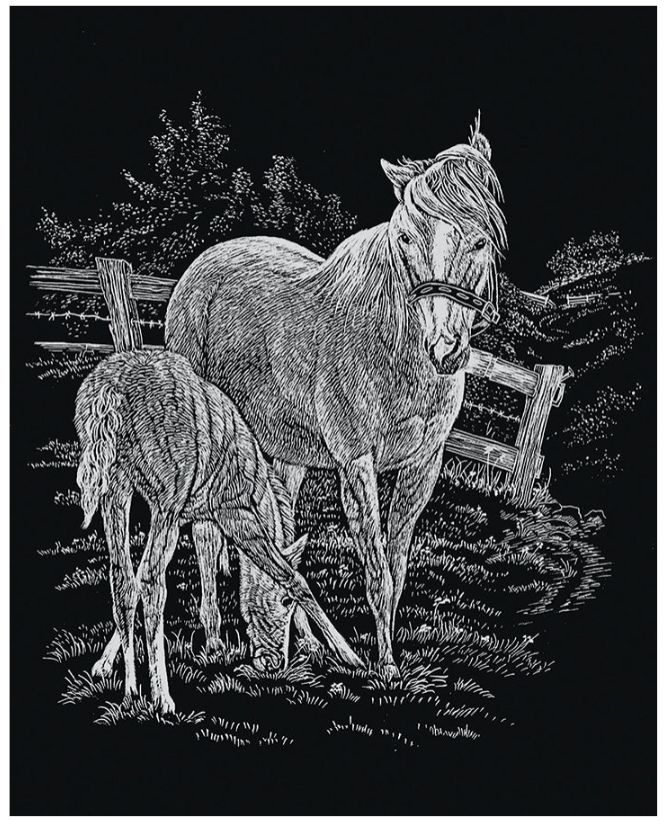 Engraving Art - Mare and Foal