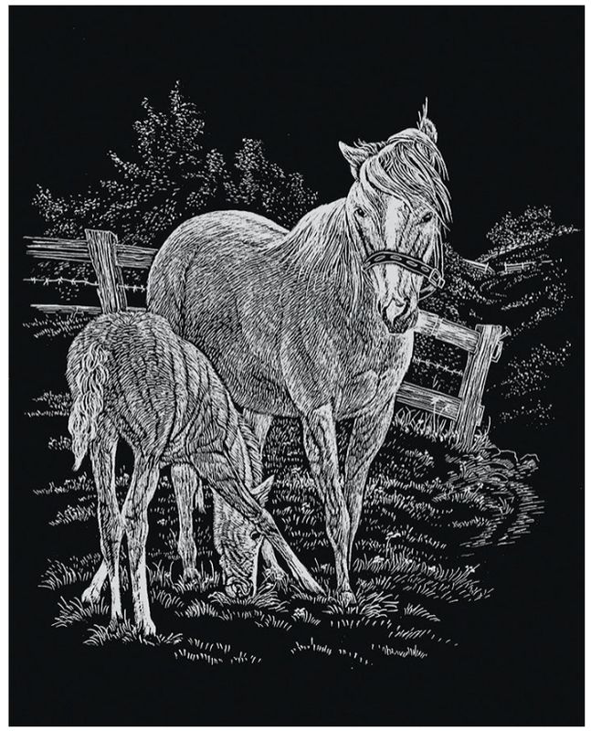 Engraving Art - Mare and Foal