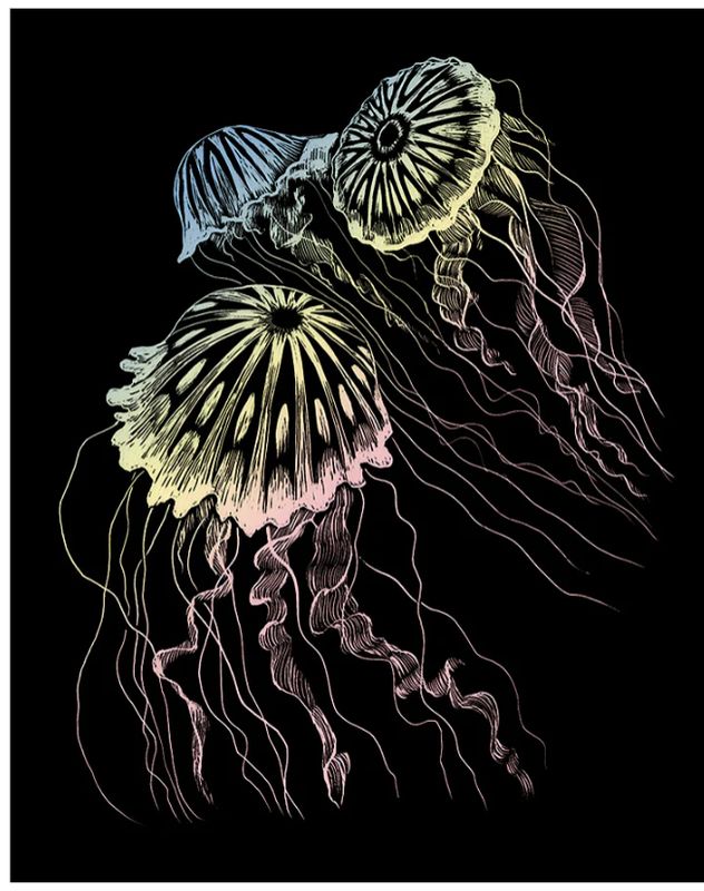 Engraving Art - Jellyfish