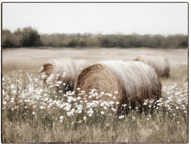 LHH Hay Bales
