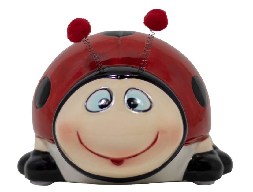 SP CAS304 Ladybug