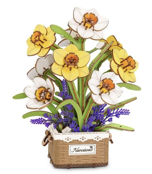 Rolife Narcissus