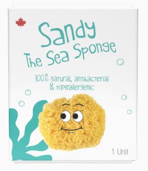 Sandy Sea Sponge