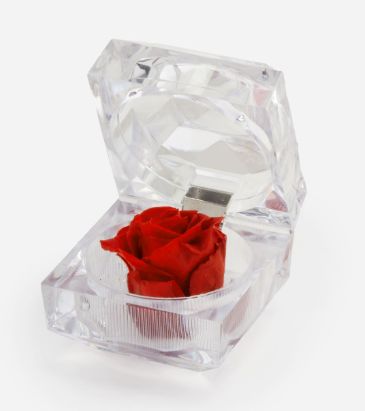 Keepsake Rose